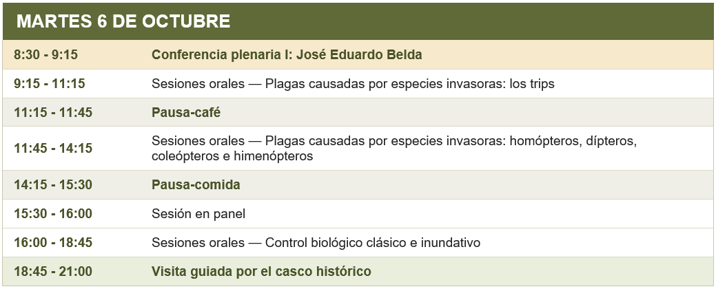 martes6